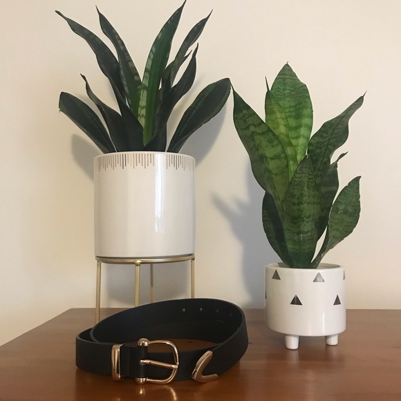 Gold buckle belt - Picture 2 of 3